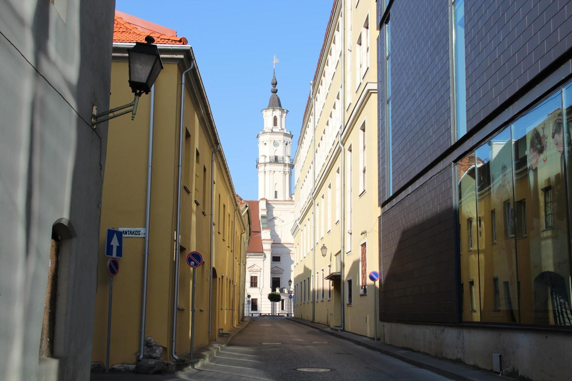 Old Town Apartment With A Separate Entrance Каунас Экстерьер фото